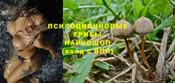 спиды Белокуриха