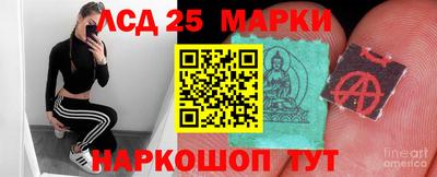 стафф Дубна