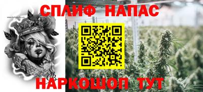 стафф Дубна