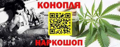 стафф Дубна