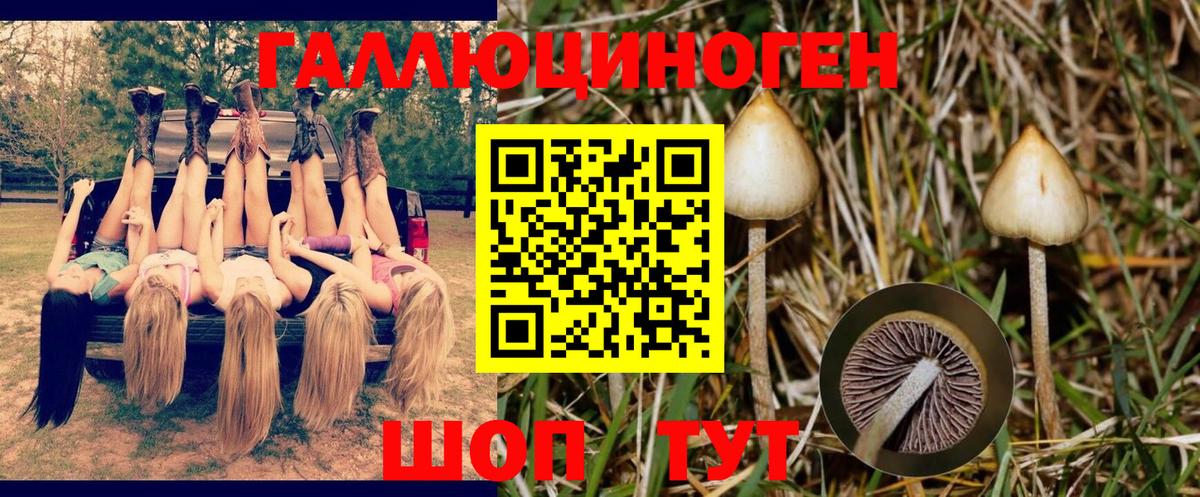 Галлюциногенные грибы Cubensis  Вход с VPN  Надым 