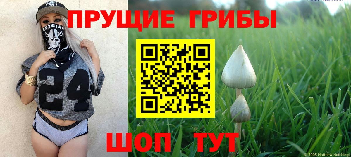 Псилоцибиновые грибы ЛСД Надым