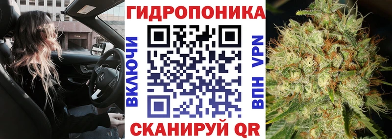 Бошки Шишки AK-47 где купить omg как зайти Надым